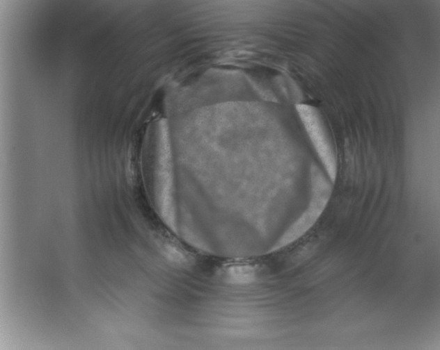 X0000067360228200604212036