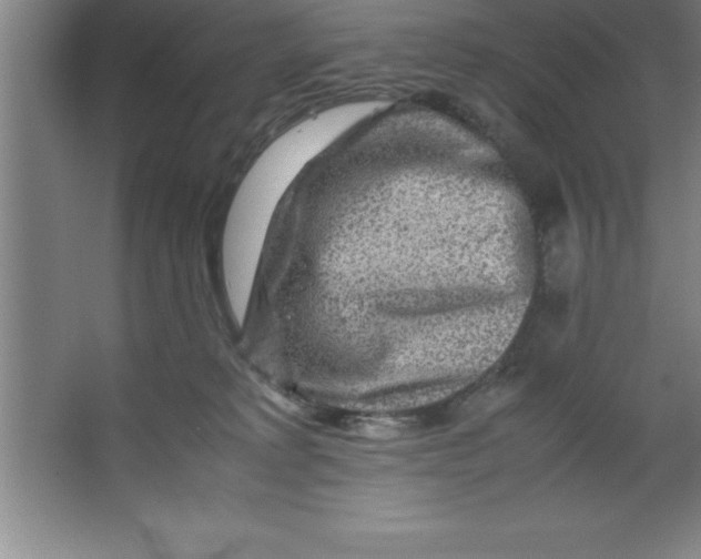 X0000067360229200604212036