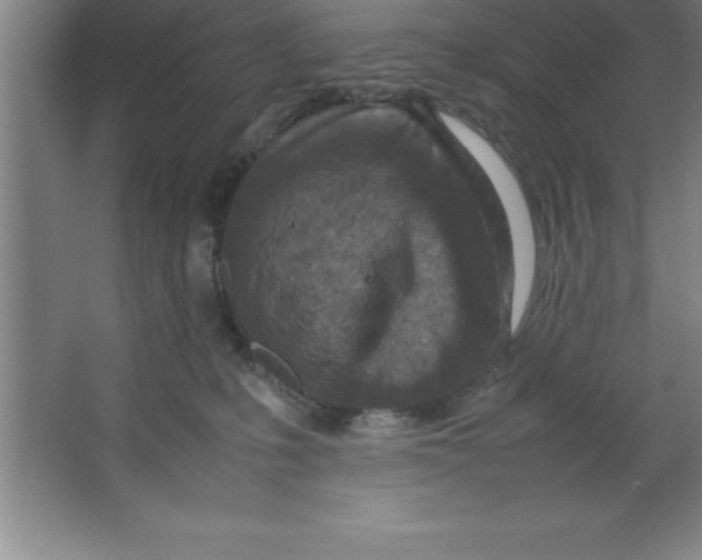 X0000067360231200604212036