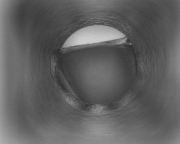 X0000067360235200604212036