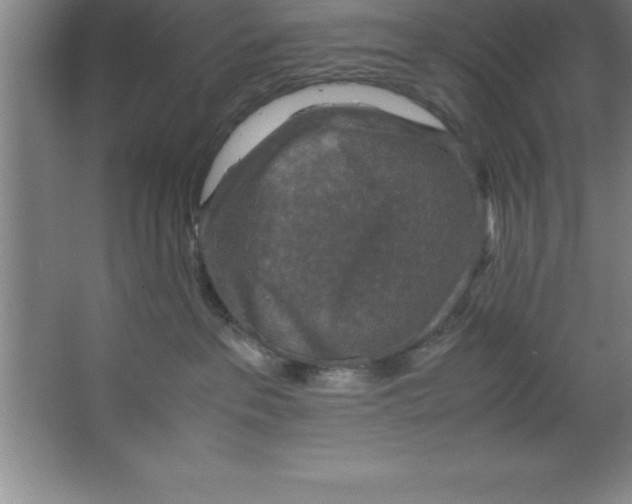 X0000067360237200604212036