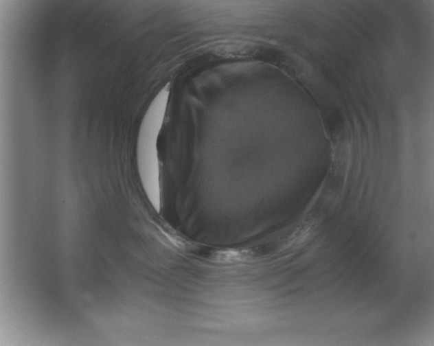 X0000067360239200604212036
