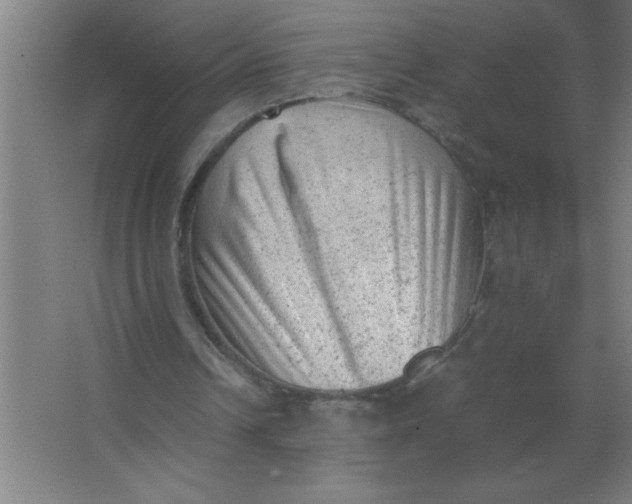 X0000067360242200604212035