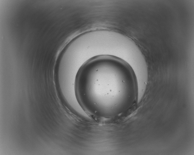 X0000067360244200604212035