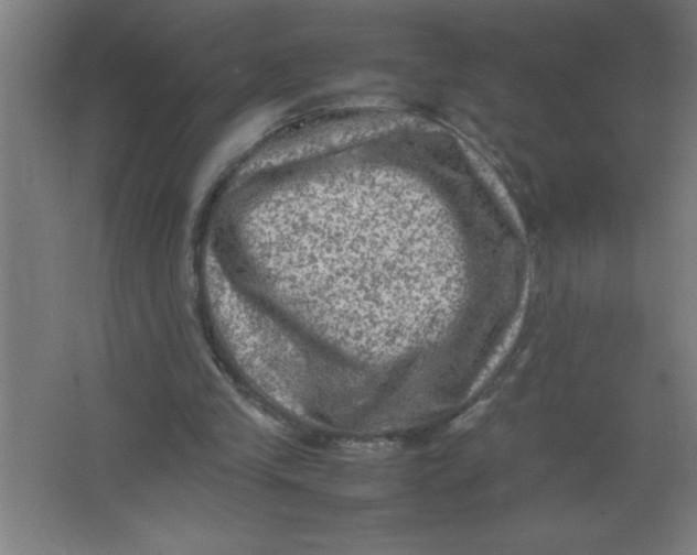 X0000067360245200604212035