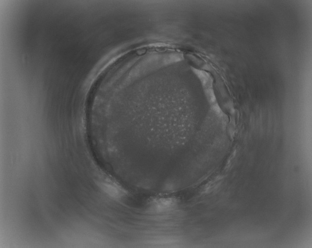 X0000067360247200604212035