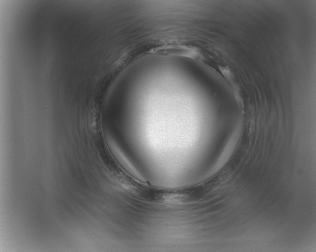 X0000067360268200604212035