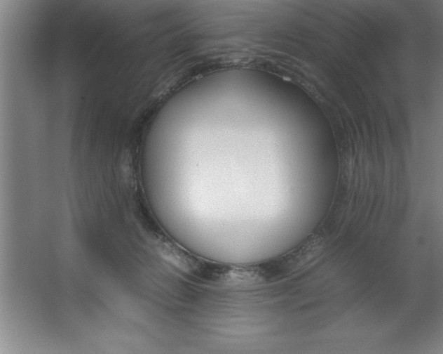 X0000067360270200604212035
