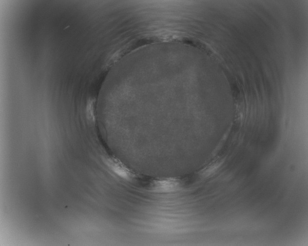 X0000067360286200604212036