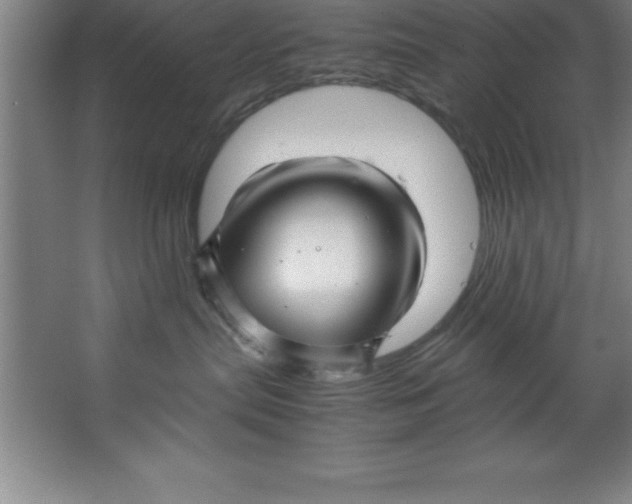 X0000067360287200604212036