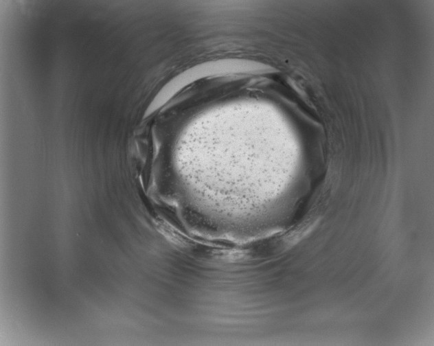 X0000067360288200604212036