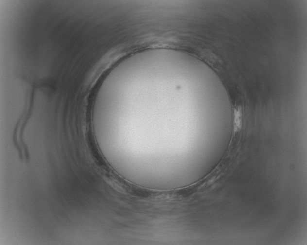 X0000067360291200604212035