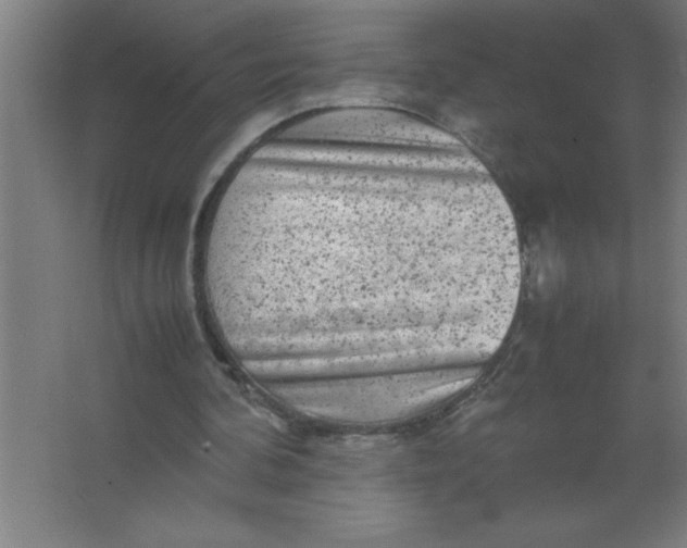 X0000067360292200604212035