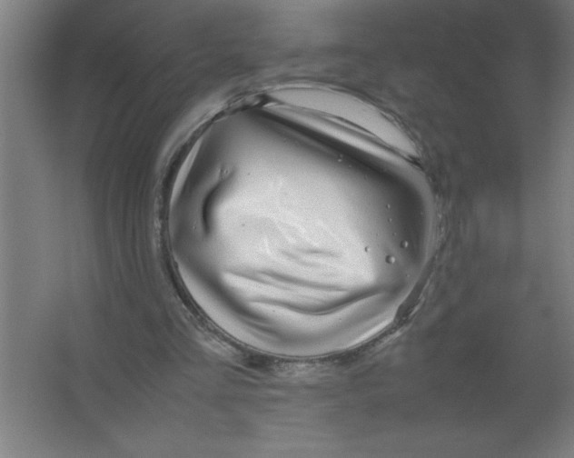 X0000067360293200604212035