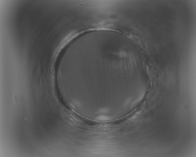 X0000067360295200604212035