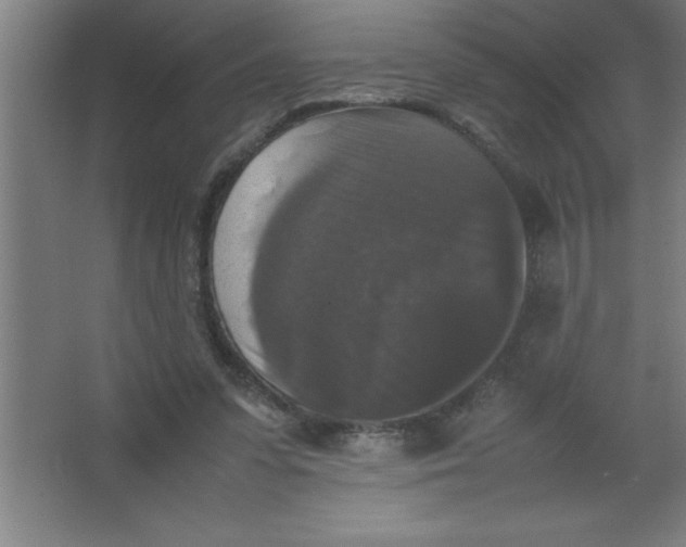 X0000067360303200604212035