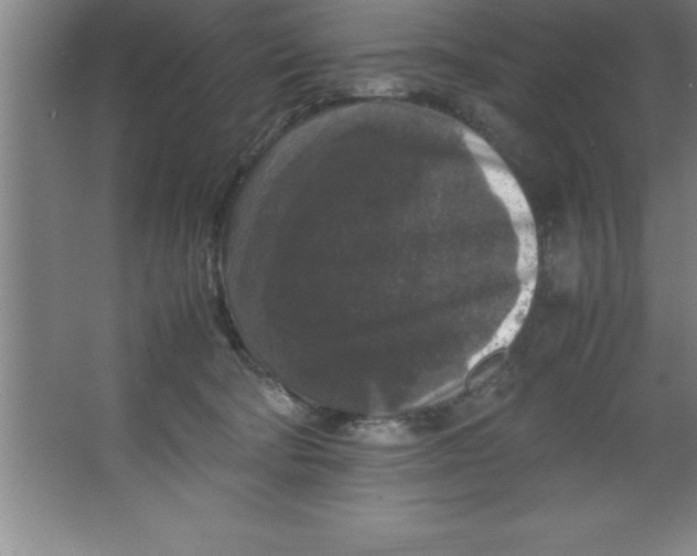 X0000067360322200604212034
