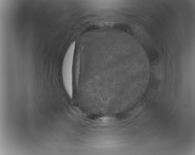 X0000067360323200604212034
