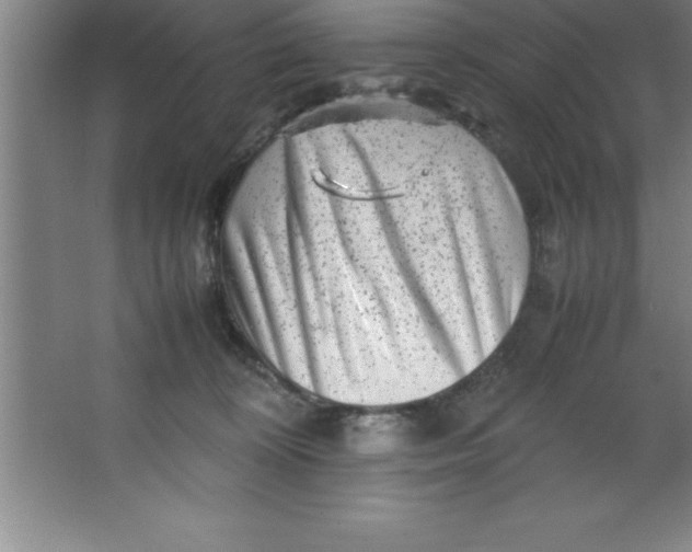X0000067360324200604212034