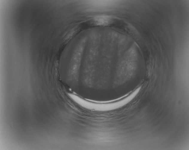 X0000067360325200604212034