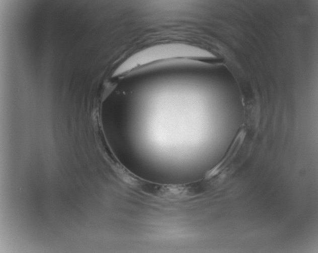 X0000067360329200604212034