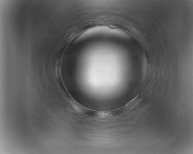 X0000067360333200604212034