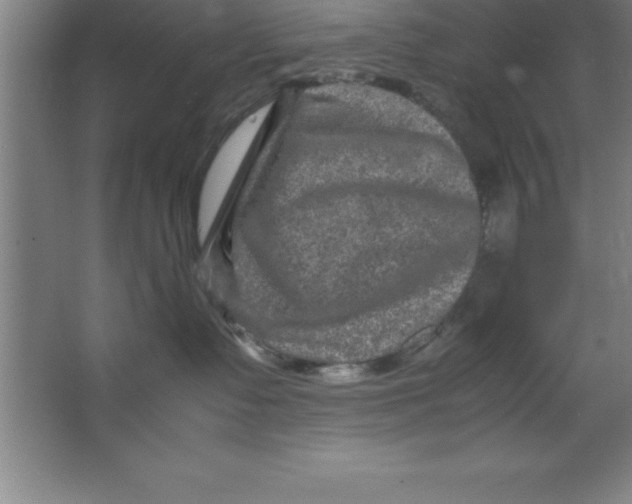 X0000067360335200604212034
