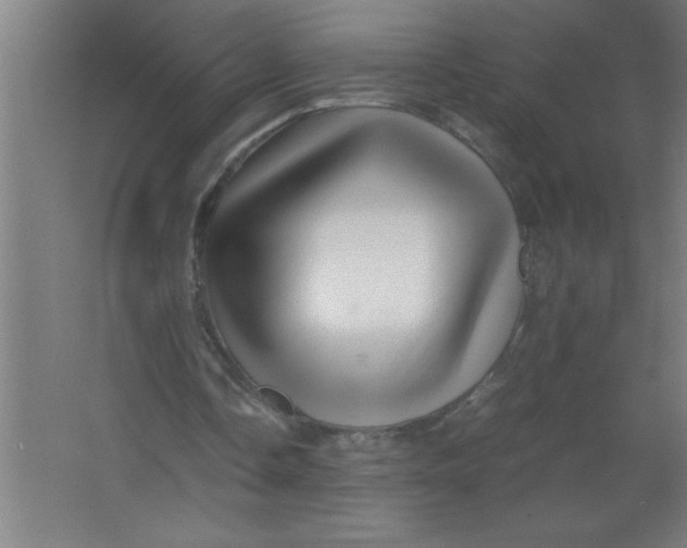 X0000067360338200604212033