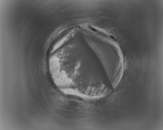 X0000067360339200604212033