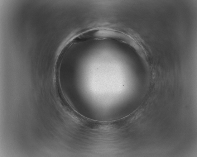 X0000067360344200604212033