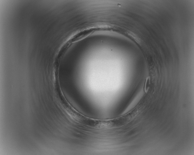 X0000067360350200604212033
