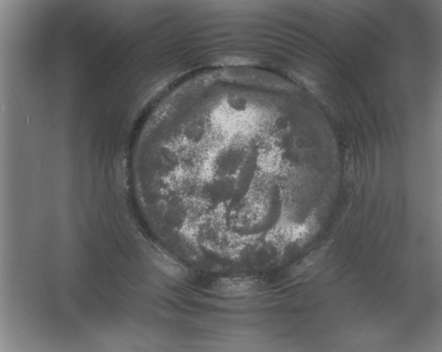 X0000067360351200604212033