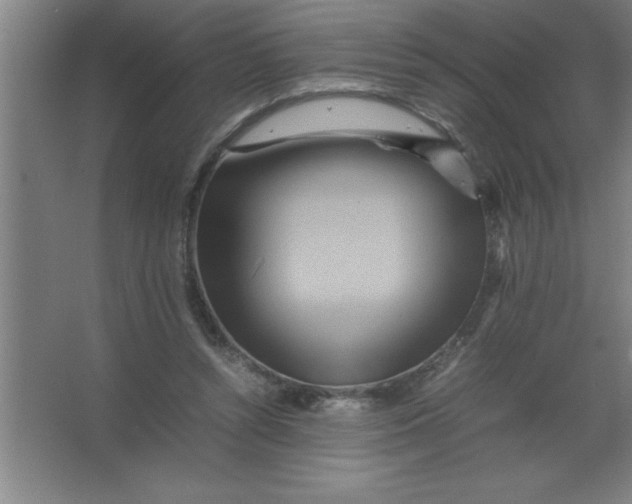 X0000067360352200604212033