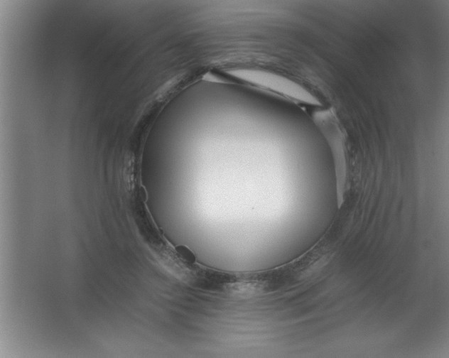 X0000067360356200604212033