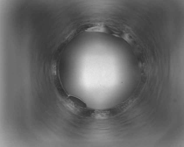 X0000067360368200604212034