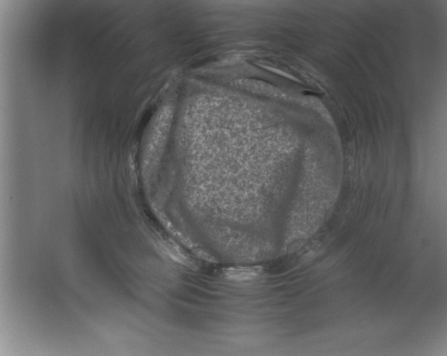 X0000067360373200604212034