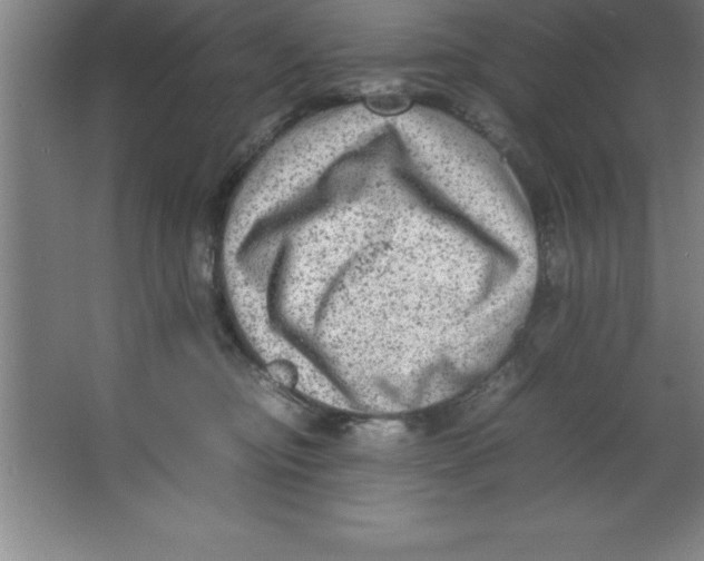 X0000067360374200604212034