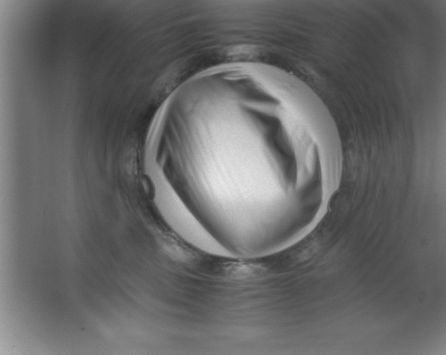 X0000067360379200604212034