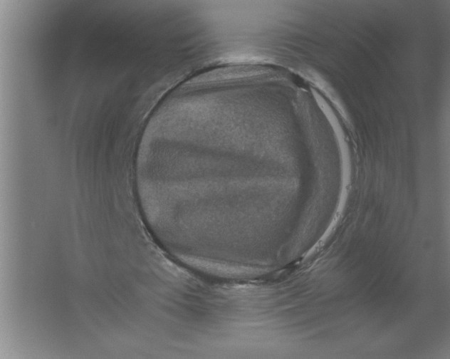 X0000067360385200604212033