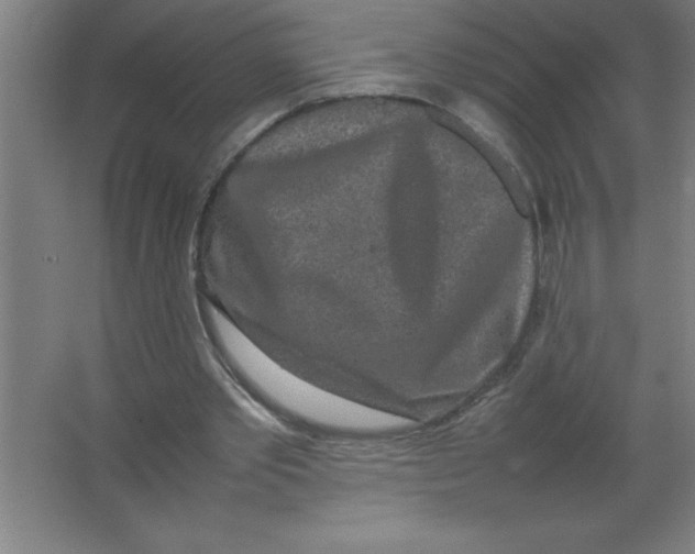 X0000067360389200604212033