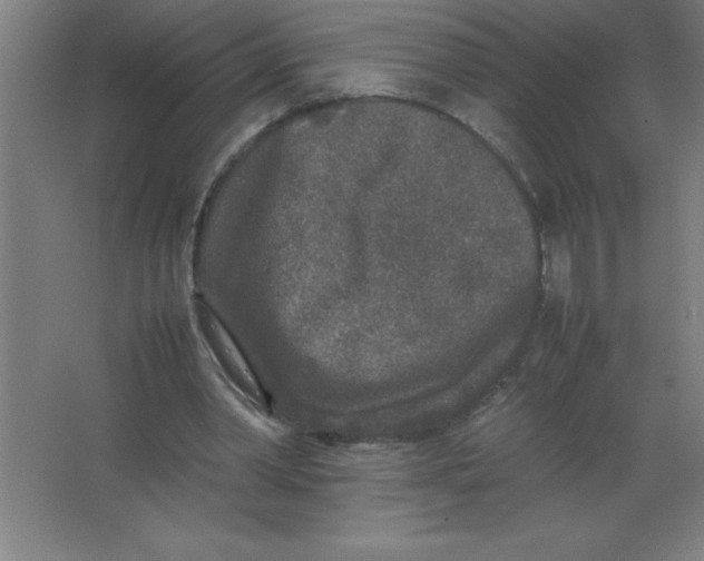 X0000067360390200604212033