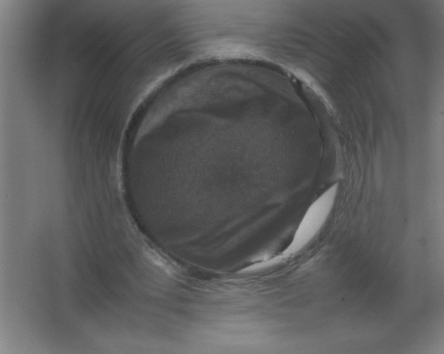 X0000067360391200604212033