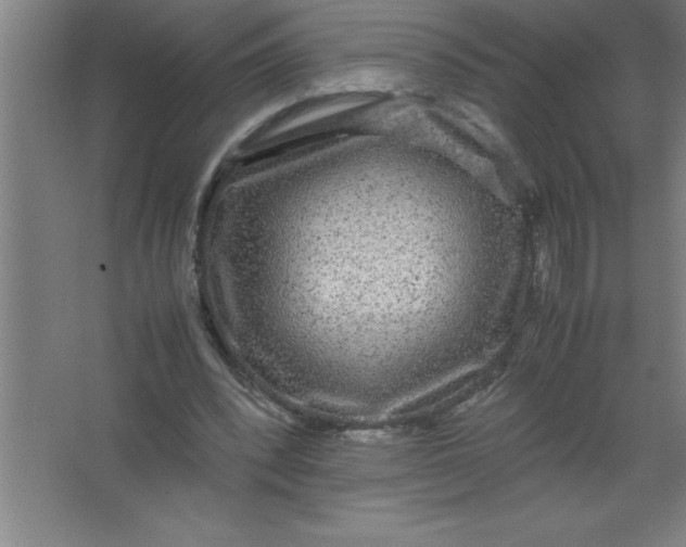 X0000067360392200604212033
