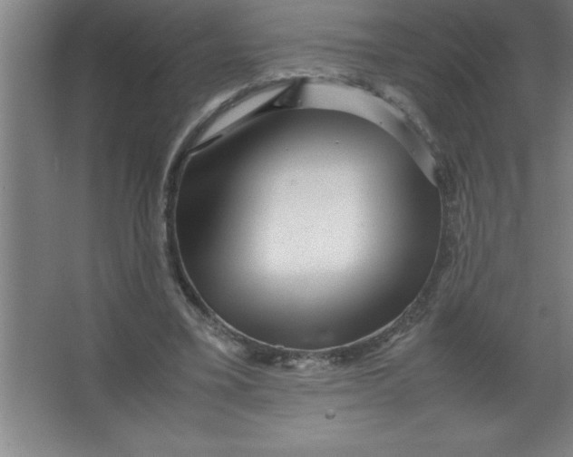 X0000067360395200604212033