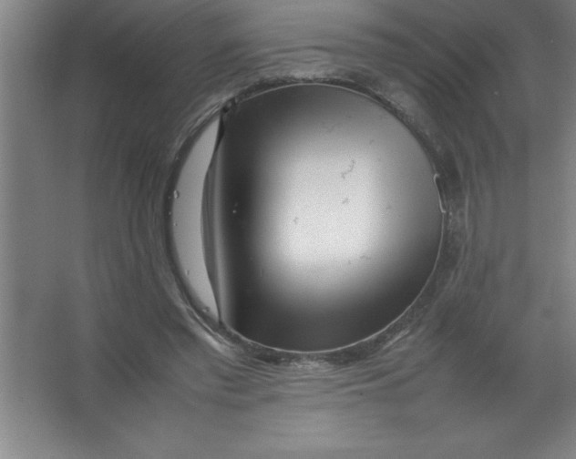 X0000067360397200604212033
