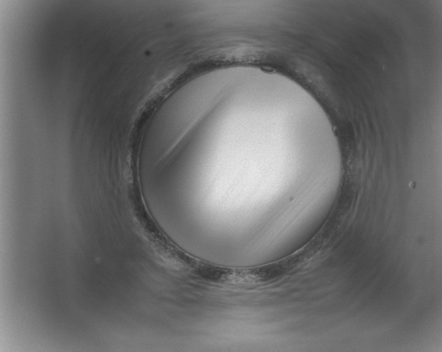 X0000067360403200604212033