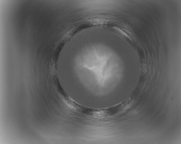 X0000067360411200604212033