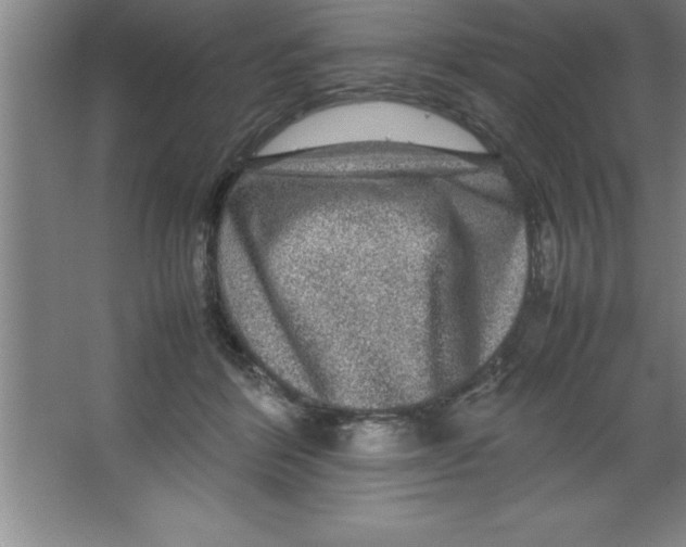 X0000067360412200604212033