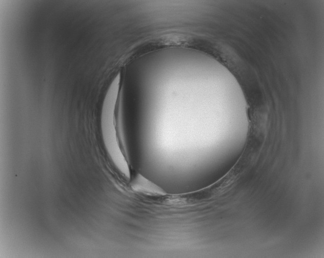 X0000067360413200604212033