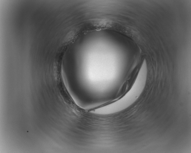 X0000067360416200604212033
